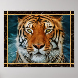 Tiger Face Marked Photo Afbeelding Print Poster