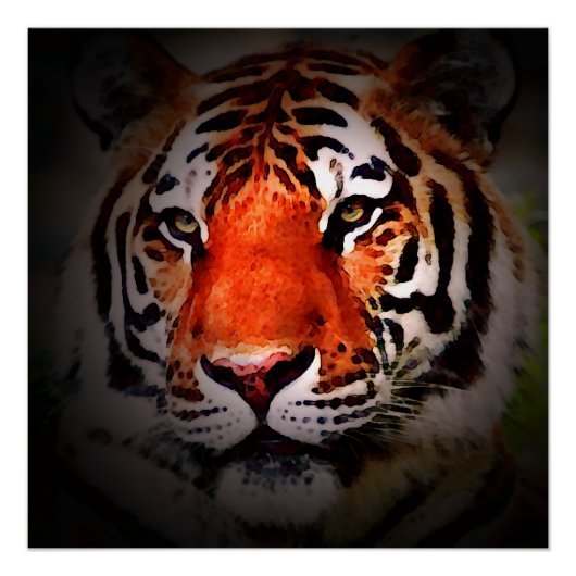 Tiger Face Motivational Artwork Perfect Poster (Voorkant)