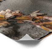 TIGER FACE OFWEG HIDDEN AFBEELDING POSTER (Hoek)