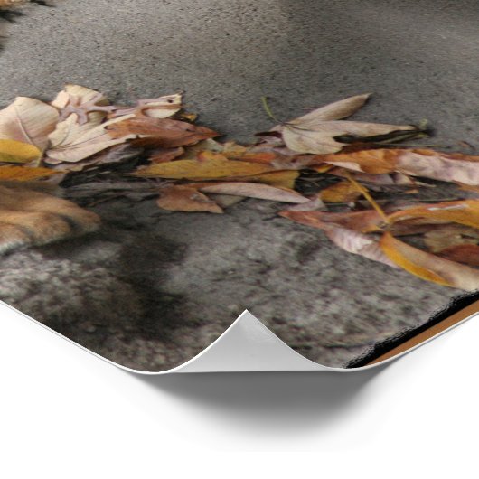 TIGER FACE OFWEG HIDDEN AFBEELDING POSTER (Hoek)