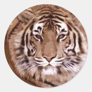 Tiger Face Ronde Sticker