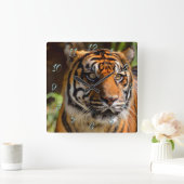 Tiger Face Vierkante Klok (Huis)