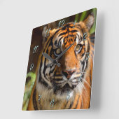 Tiger Face Vierkante Klok (Hoek)