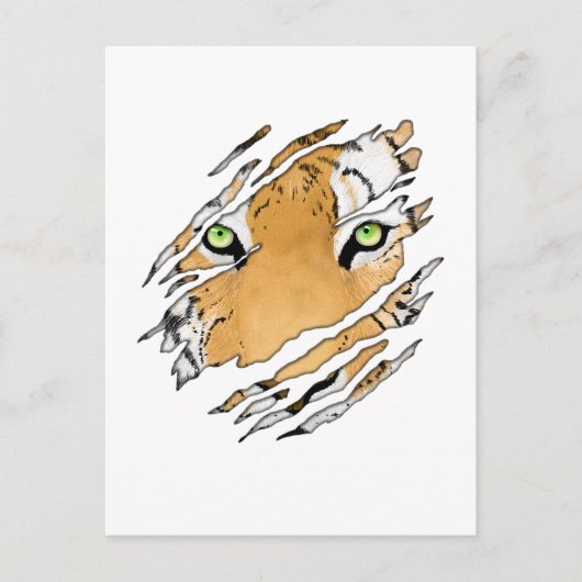 Tiger Face Wildlife Art Briefkaart (Voorkant)