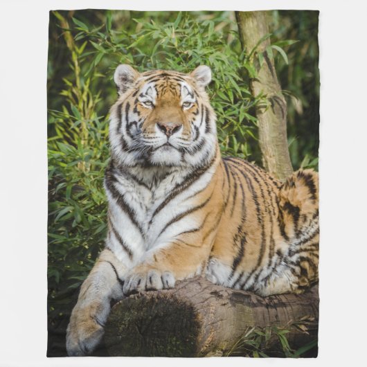 Tiger Fleece Blanket (Voorkant)