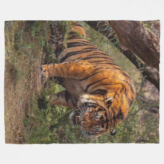 TIGER FLEECE DEKEN (Voorkant (Horizontaal))