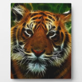 TIGER FOTOPLAAT (Voorkant)