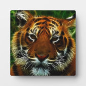 TIGER FOTOPLAAT (Voorkant)