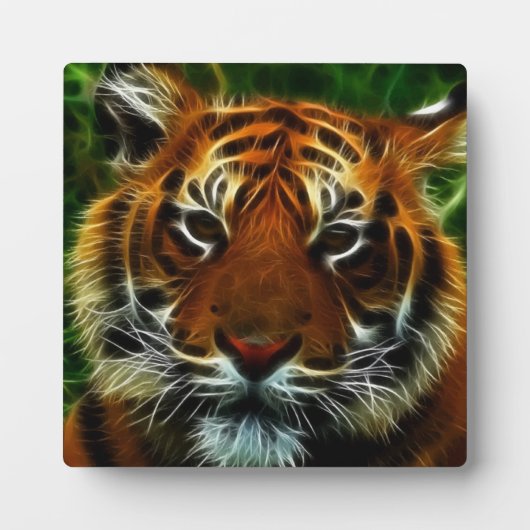 TIGER FOTOPLAAT (Voorkant)