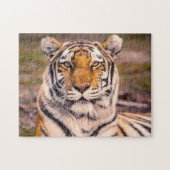 Tiger-fotoportret Legpuzzel (Horizontaal)