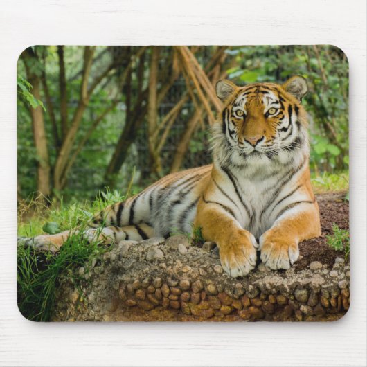 Tiger Full Body Mousepad Muismat (Voorkant)