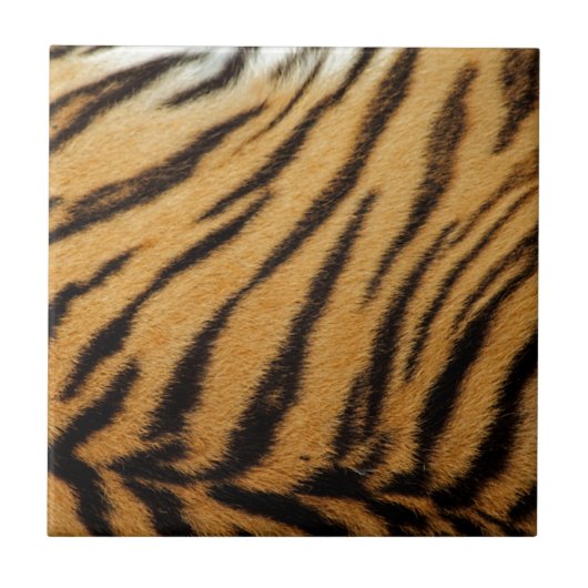 Tiger Fur Stripes Tegeltje (Voorkant)