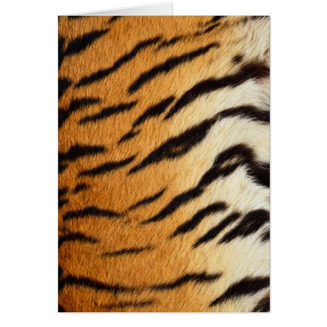 Tiger Fur Wildlife Kaarten Series (Voorkant)
