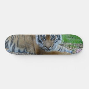 Tiger Gaze Skateboard