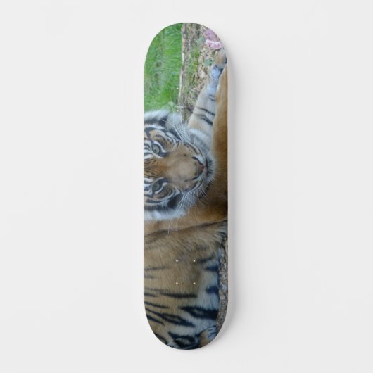 Tiger Gaze Skateboard (Voorkant)