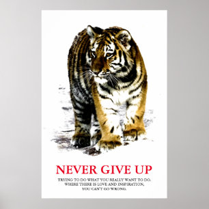 Tiger geeft nooit Motivatie op Poster