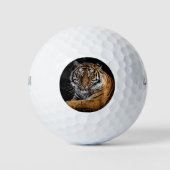 Tiger GOLF BALLS Golfballen (Voorkant)