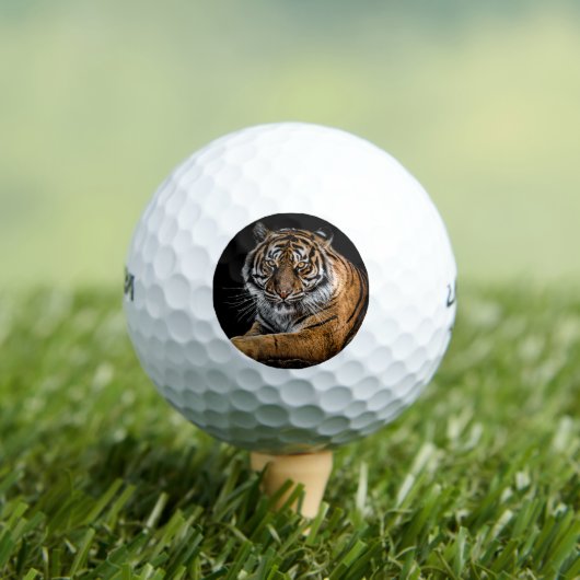 Tiger GOLF BALLS Golfballen (Insitu Shirt)