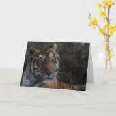Tiger Greeting Card-Tarjeta Tigre felicitacion Kaart (Gele Bloem)