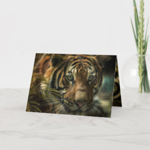 TIGER GROUND ZERO KAART