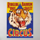 TIGER Growl Circus Ringling Bros Circus Anima Poster (Voorkant)