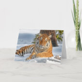 Tiger Holiday Kaart (Voorkant)