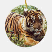 Tiger Holiday Ornament (Voorkant)