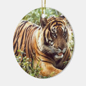 Tiger Holiday Ornament (Links)