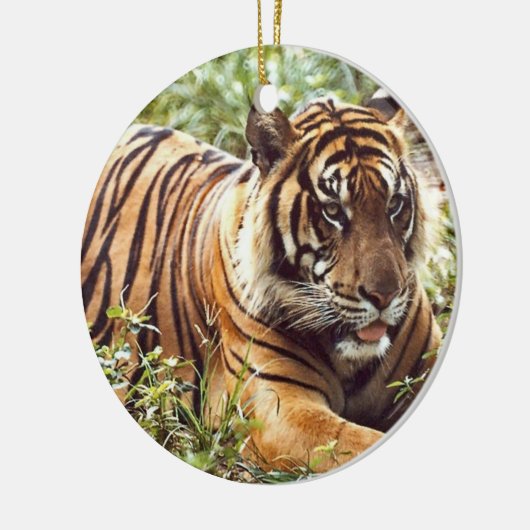 Tiger Holiday Ornament (Links)