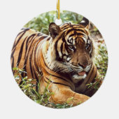 Tiger Holiday Ornament (Achterkant)