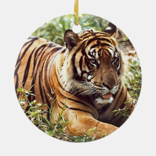 Tiger Holiday Ornament (Achterkant)