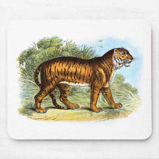 Tiger Illustration Mousepad Muismat (Voorkant)