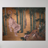 Tiger in Bamboo Grove by Kano Tan-yu Poster (Voorkant)