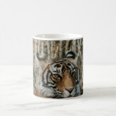 TIGER IN DE WILDE RESTING KOFFIEMOK (Center)