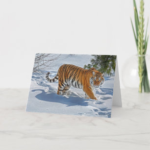 Tiger in Deep Snow Holiday Kaart
