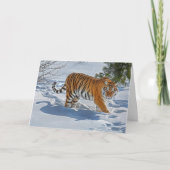 Tiger in Deep Snow Holiday Kaart (Voorkant)