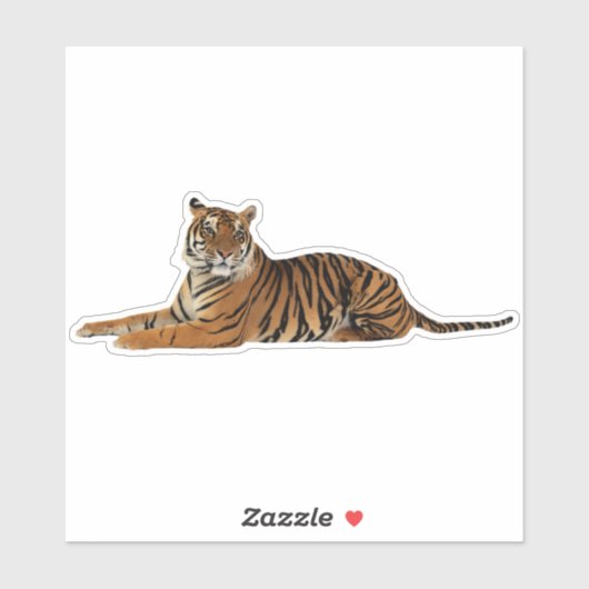 Tiger in Repose Sticker (Vel)