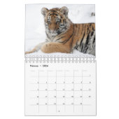 Tiger in Rot als Kalender (Feb 2026)