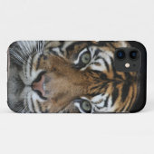 Tiger iPhone Case (Achterkant (horizontaal))