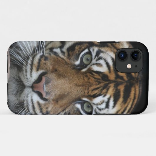 Tiger iPhone Case (Achterkant (horizontaal))