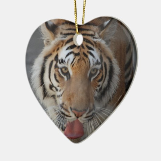 Tiger Kisses Ornament (Links)