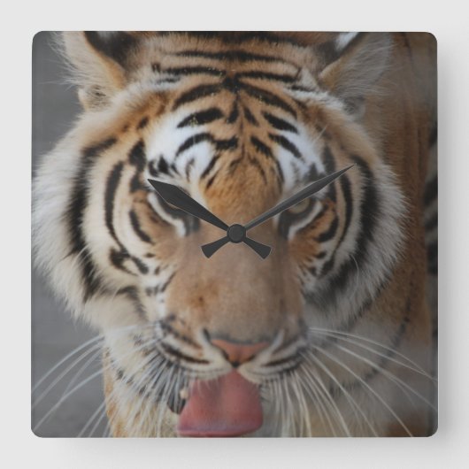 Tiger Kisses Wall Clock Vierkante Klok (Voorkant)