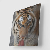 Tiger Kisses Wall Clock Vierkante Klok (Hoek)