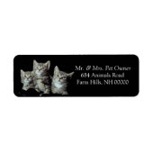 Tiger Kittens Return Address Stickers Labels (Voorkant)