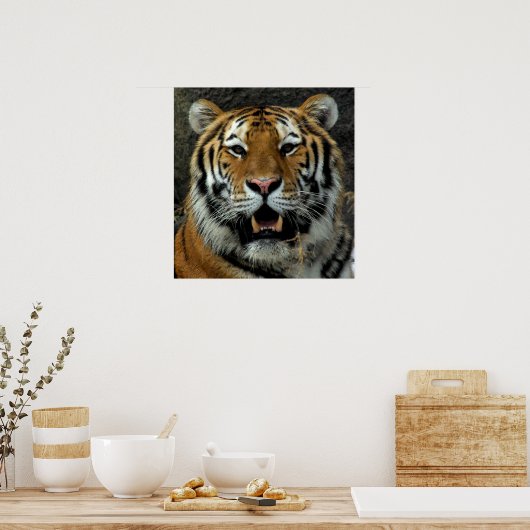 Tiger, kom hier en zeg dat! poster (Keuken)