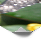 Tiger Langwerpvlinderdruk Poster (Hoek)