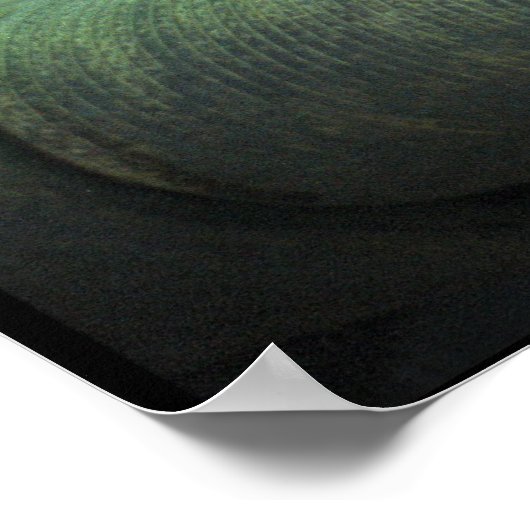 Tiger Laying Poster (Hoek)