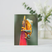 Tiger Legged Monkey Tree Frog Green Sinaasappel Briefkaart (Staand voorkant)