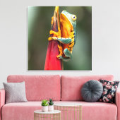 Tiger Legged Monkey Tree Frog Green Sinaasappel Canvas Afdruk (Insitu (Woonkamer))