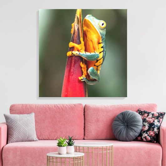 Tiger Legged Monkey Tree Frog Green Sinaasappel Canvas Afdruk (Insitu (Woonkamer))